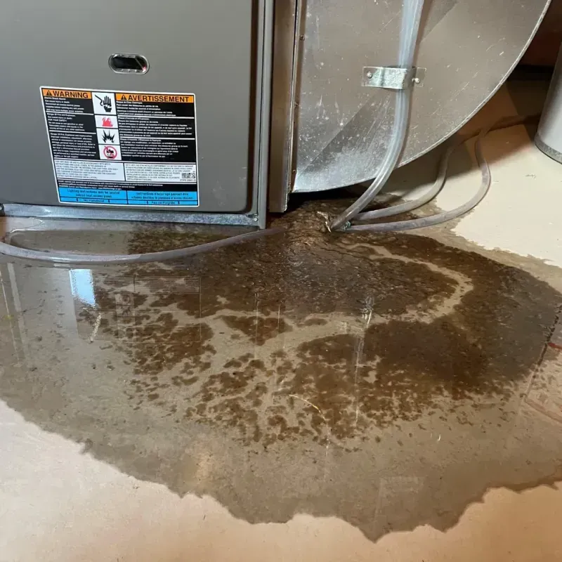 Appliance Leak Cleanup in Wayne, WV